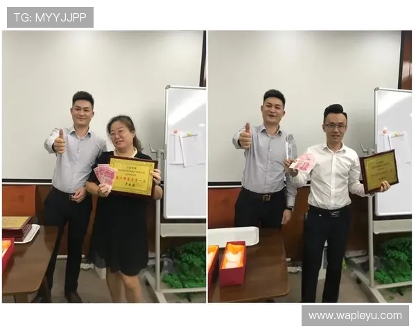 乐投控股有限公司：管理团队背景与企业治理结构的全面介绍