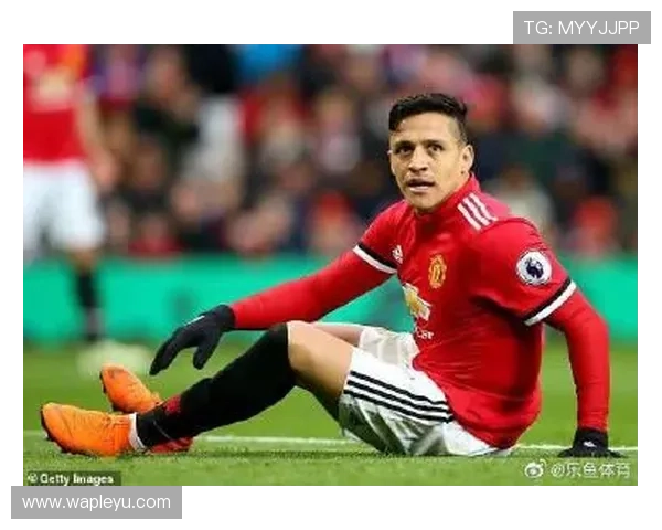 乐鱼体育正规网址平台特色介绍，专业体育赛事覆盖与高效的客户服务体系