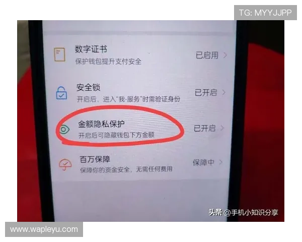 乐鱼体育电脑版官网支持多种支付方式确保用户资金安全