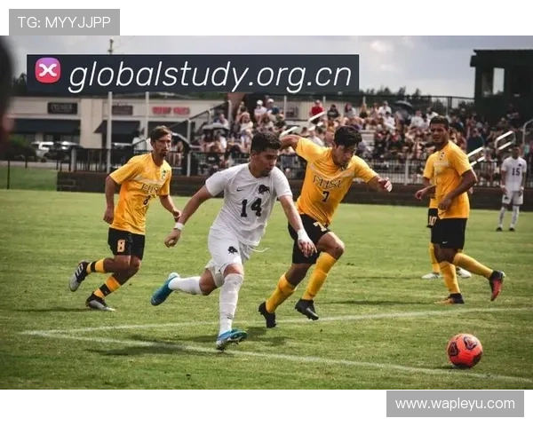 乐鱼体育真人版全站登录，轻松登录开启精彩无限的体育赛事直播