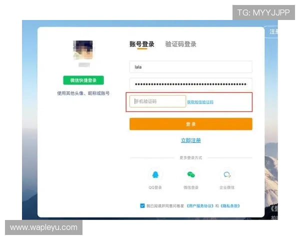 乐鱼在线登录官方网站下载最新版本，保障账号安全的完整步骤