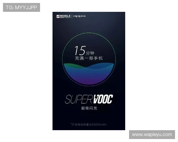 乐鱼平台合作伙伴大巴黎01优化合作机制实现资源整合最大化 乐鱼平台合作伙伴大巴黎01优化合作机制实现资源整合最大化