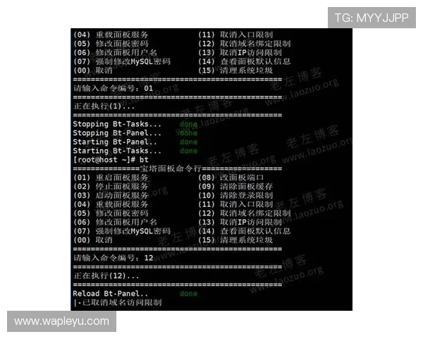 乐鱼电子平台登录密码忘记了可以如何恢复和重置详细步骤