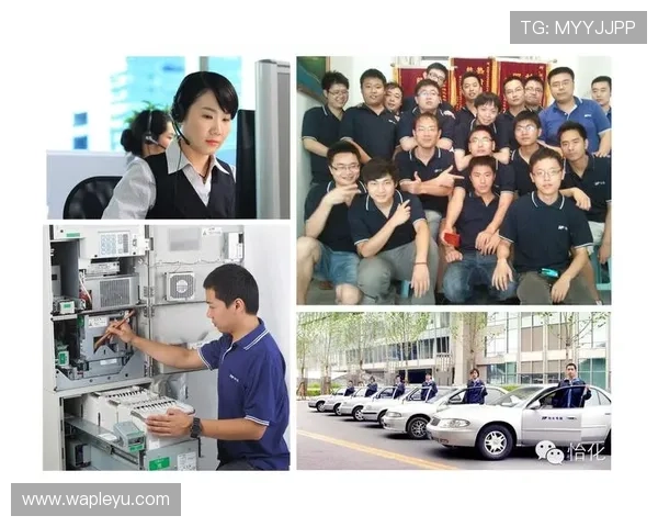 乐鱼电子股份有限公司作为行业领导者的核心竞争优势及持续发展策略详解