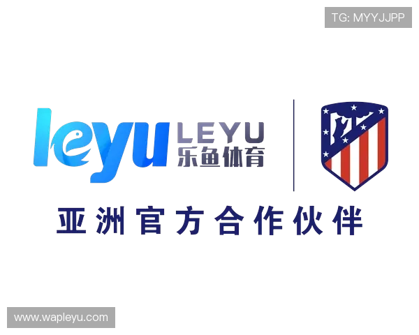 乐鱼体育app官网首页注册流程及账号安全保护措施全面解析