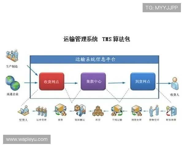 乐鱼官方大平台用户评价与反馈汇总帮助新手快速融入游戏社区
