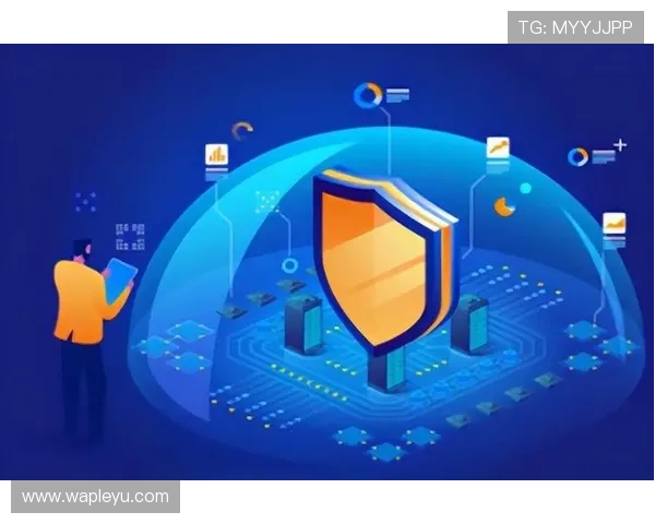 乐鱼官网app安全平台在数据加密与传输安全方面的先进技术应用