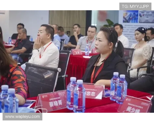 乐鱼平台资助大巴黎项目的资金来源与合作模式，解读体育产业中的创新融资方式