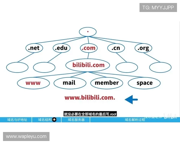 乐鱼最新域名解析详细流程，教你轻松完成域名切换避免登录困难和账号丢失