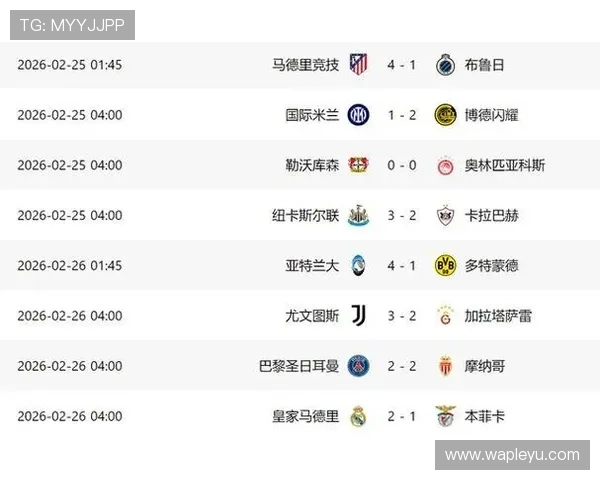 乐鱼综合体育官网app功能介绍与使用技巧，帮助玩家轻松掌握丰富游戏资源与优惠活动