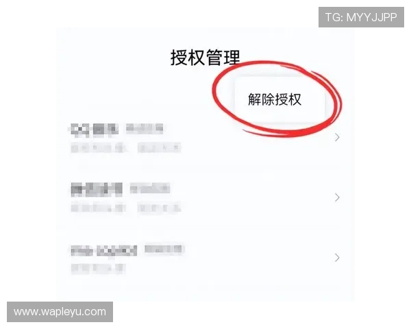 乐鱼竞猜官网如何保障玩家资金安全与隐私保护