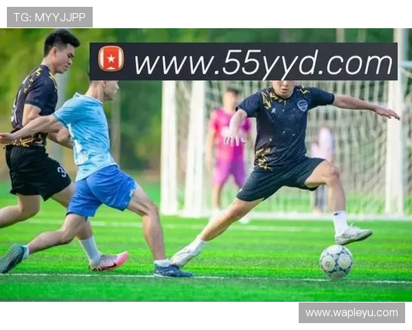 乐鱼网页官方网站每日最新新闻与精彩赛事全攻略