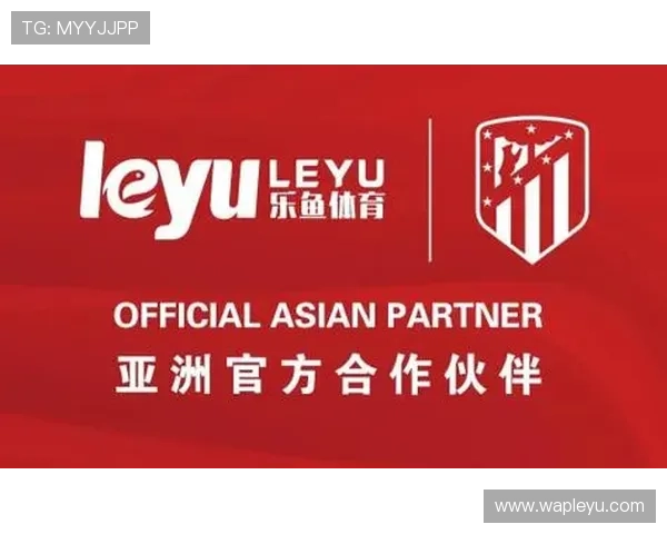 乐鱼app官方入口网站下载最新版本，安全稳定的官方渠道推荐